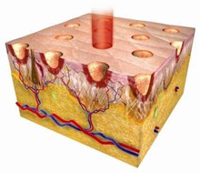 Fractional Laser CO2
